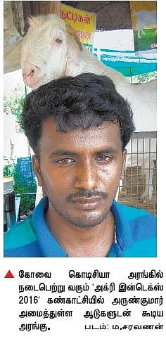 எம்.பி.ஏ. முடித்துவிட்டு﻿ ஆடு வளர்ப்பில் களம் இறங்கி சாதித்த இளைஞர்﻿