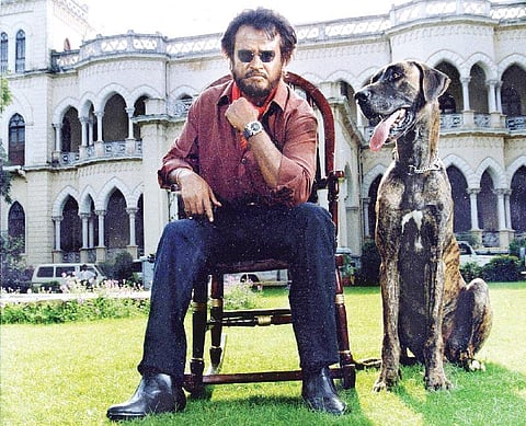 கபாலியா, பாட்ஷாவா?