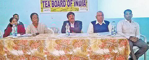 தேயிலை ஏற்றுமதி 1 கோடி டன் உயர்வு﻿: வாரிய செயல் இயக்குநர் தகவல்﻿