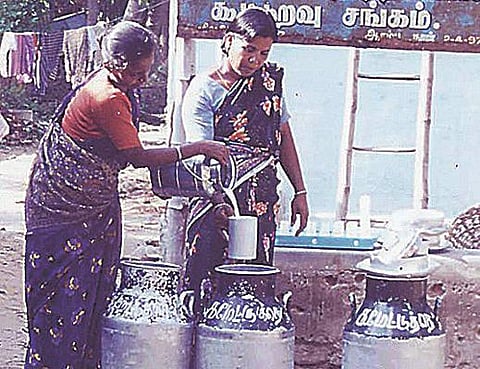 பால் கொள்முதலில் பிரச்சினை ஏன்?﻿ - ஓ.பன்னீர்செல்வம் விளக்கம்﻿