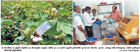 தூத்துக்குடியில் நன்மை தரும் பூச்சிகளை உற்பத்தி செய்யும் விவசாயிகள்: பூச்சிக்கொல்லிகளை கைவிட்டு இயற்கை வழிக்கு மாற்றம்