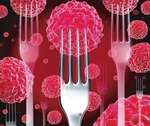 புற்றுநோய் தவிர்க்க, இதைச் சாப்பிடாதீங்க!﻿