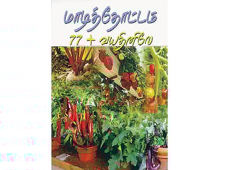 மாடித் தோட்டத் தாவரங்கள்: பாதுகாக்க சில குறிப்புகள்﻿