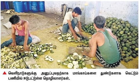 தேனியில் மாம்பழம் குளிர்பதன கிடங்கு அமைக்கப்படுமா?﻿- விவசாயிகள் எதிர்பார்ப்பு﻿