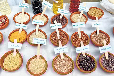 இயற்கையைத் தேடி வந்த பெண்கள்﻿