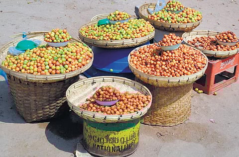 கிழக்கில் விரியும்  கிளைகள் 41: பள்ளிப்பருவப் பழத்தை மறந்துபோனோமே!﻿