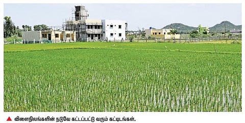 திருக்கழுகுன்றம், மாமல்லபுரம் பகுதியில் வீட்டு மனைகளான 1 லட்சம் ஹெக்டேர் விளைநிலங்கள்﻿: அழிவுப்பாதையில் செல்லும் விவசாயம்﻿