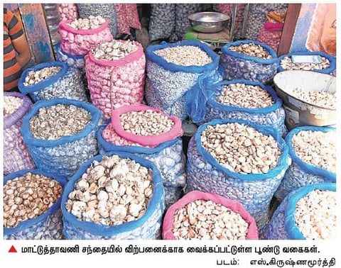 தமிழகத்தில் பூண்டு விலை கடும் உயர்வு﻿: ஒரு கிலோ ரூ.450-க்கு விற்பனை﻿