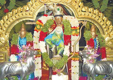 பிரார்த்தனாமூர்த்தி கிருஷ்ணன்﻿