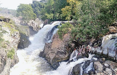 ஒகேனக்கல்லுக்கு நீர்வரத்து: 8,500 கன அடியாக அதிகரிப்பு﻿