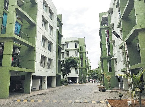 சுமூகமான ஒரு சமூக வாழ்க்கை﻿