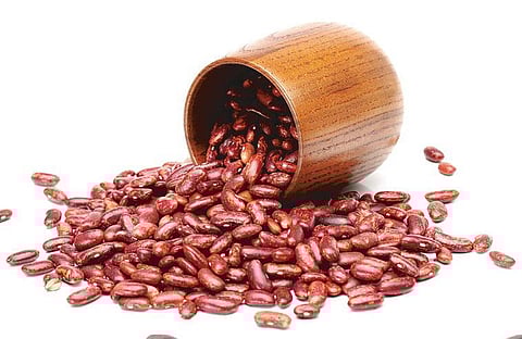 புரதச் சுரங்கம் 10: சப்பாத்தியுடன் வந்த இதயத்தின் நண்பன்﻿