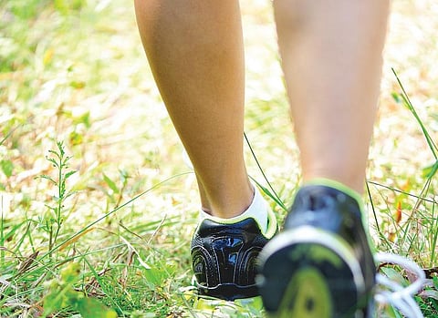 சுத்தம் தரும் மிதியடிகள்﻿