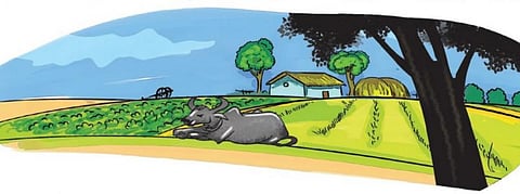 தொட்டனைத்து ஊறும் அமிழ்தம் 01: உலக நெருக்கடிக்கு ஒரே தீர்வு - நீடித்த பண்ணை!﻿