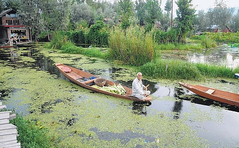காஷ்மீர்: நாம் செய்ய வேண்டியது என்ன?