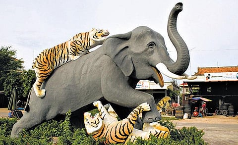 அறிவோம் நம் மொழியை: கொன்ற யானையா, கொல்லப்பட்ட யானையா?﻿