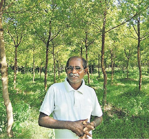 சுற்றுச்சூழலை மேம்படுத்தி சுகாதாரத்தைக் காக்க: விளைநிலத்தை வேம்புக் காடாக மாற்றிய கல்லூரி பேராசிரியர்