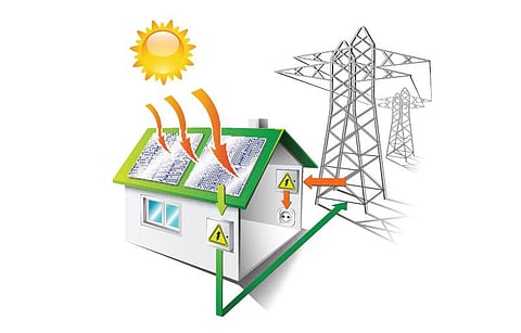 சூழலியல் சேதி!﻿ - தக்காளி மின்சாரம்!