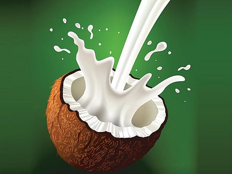 உயிர் வளர்த்தேனே 04: வீட்டிலேயே ஒரு புத்துணர்ச்சி முகாம்﻿