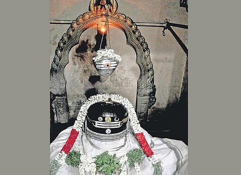 கருணை தெய்வம் தென்காசி விஸ்வநாதர்﻿