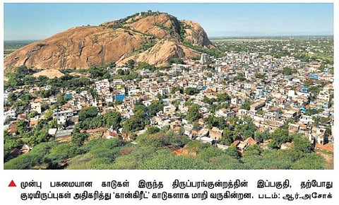 திருப்பரங்குன்றம் மலையில் இயற்கை சூழலுக்கு ஆபத்து﻿: மேம்பாட்டுத் திட்டங்களால் மலையடிவாரம் வெப்பமடைவதாக சர்ச்சை﻿﻿