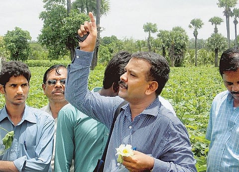 யார் வில்லன்: பூச்சியா பூச்சிக்கொல்லியா? - புரிந்துகொள்ள உதவுகிறார் ‘பூச்சி‘ செல்வம்﻿