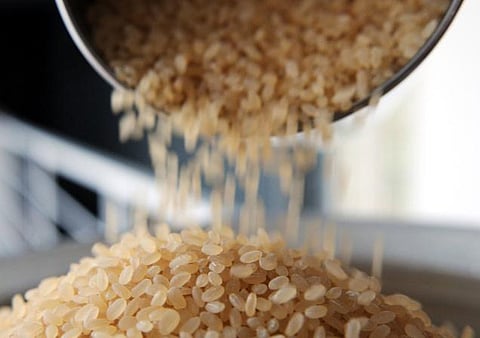 உணவு தானியங்கள் வீணாவதை தடுக்க புதிய தொழில்நுட்பங்களை ஊக்குவிக்க அரசு முடிவு﻿