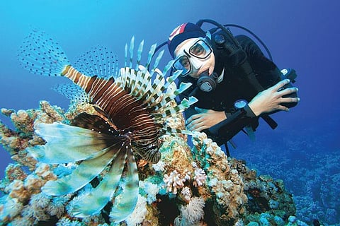 நீலக்கடல் சொல்லும் ரகசியங்கள்﻿