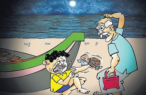 சித்திரக் கதை: ஆமைகளின் நண்பர்கள்!﻿