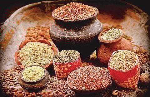 உயிர் வளர்த்தேனே 10: ஒவ்வொரு செல்லிலும் தானியங்களின் பெயர் எழுதியுள்ளது﻿