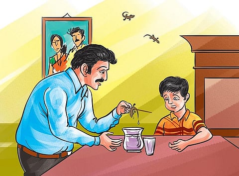 சந்தேகம் சரியா 10: பல்லி விழுந்த உணவு விஷமா?﻿