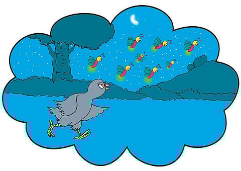 சித்திரக்கதை: வழி தவறிய கோழிக்குஞ்சு!﻿