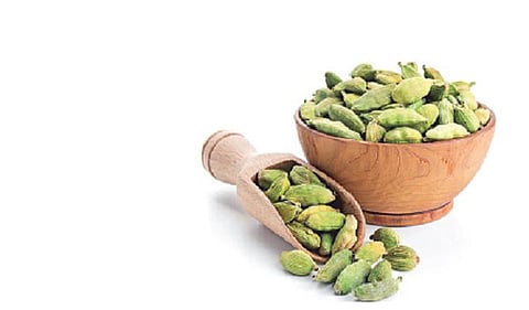 இறக்குமதி குறைந்ததால் இந்திய ஏலக்காய் விலை உயர்வு﻿