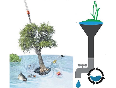 உயிர்நாடிகள் இனியாவது காப்பாற்றப்படுமா?