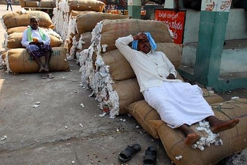 பேசும் படம்: நோட்டு உத்தியும் பருத்தி விவசாயிகள் சோகமும்