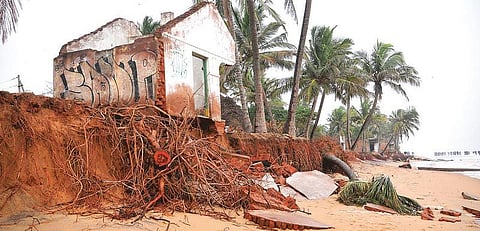 புயலுக்குப் பிறகு...﻿