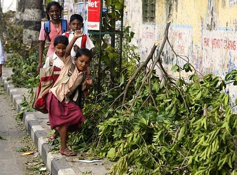 மரங்கள் அழிந்த பகுதியில் 2 டிகிரி வெப்பம் அதிகரிக்க வாய்ப்பு; ஒலி, ஒளி, காற்று மாசு உயரும் என்பதால் கவனம் தேவை