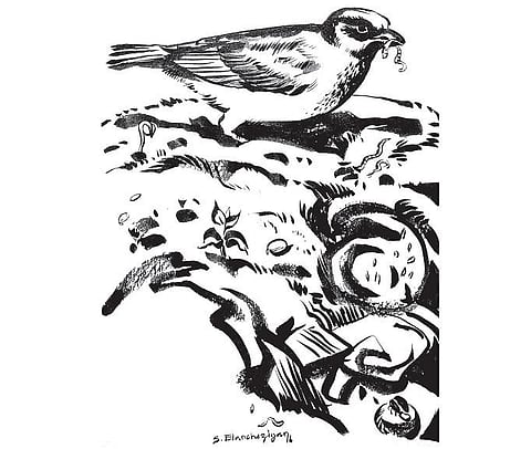 கடவுளின் நாக்கு 24: வெறும் கற்பனை!