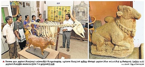 வரலாற்றை அறிந்துகொள்ள வழிகாட்டும் அருங்காட்சியகம்: கோவை மாணவர்களிடம் விழிப்புணர்வை ஏற்படுத்த முயற்சி