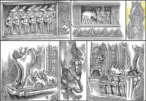 அற்புதக் கதை சொல்லும் அழகான சிற்பங்கள் 10: அருட்பால் சுரந்த பரமனும் பன்றிக் குட்டிகளும்!