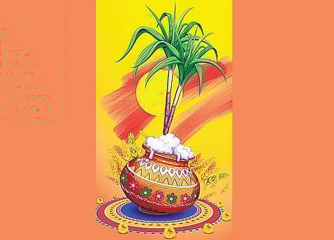 குழந்தைப் பாடல்: பொங்கல் திருநாள்