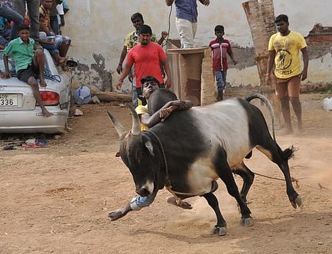 ஜல்லிக்கட்டு விவகாரம்: அதிமுக எம்.பி.க்கள் பிரதமருடன் இன்று சந்திப்பு