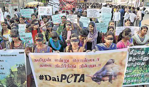 ஜல்லிக்கட்டுக்கு அனுமதி கோரி﻿ தமிழகம் முழுவதும் தீவிரமாகும் போராட்டங்கள்: மாணவர்கள், இளைஞர்கள் ஆயிரக்கணக்கில் பங்கேற்பு﻿