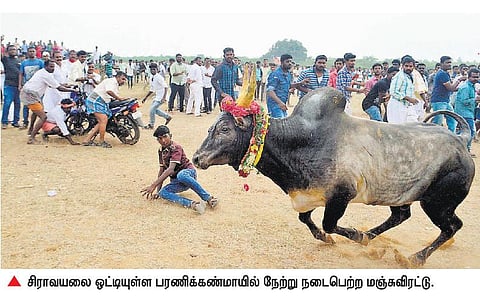 சிராவயலில் சீறிப் பாய்ந்த காளைகள்