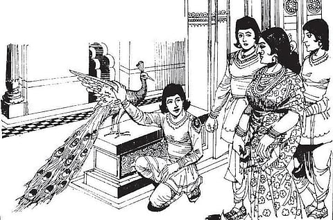 சின்னஞ்சிறு உலகம்: தங்க மயில் ரகசியம்!