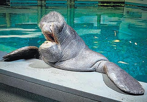 எல்லாமே சாதனைகள்தான்!