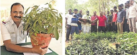 உள்நாட்டு மரங்கள் வளர்ப்பதை ஊக்குவிக்கும் காவல் ஆய்வாளர்﻿: 6 ஆண்டுகளில் 22,315 மரக்கன்றுகள் அன்பளிப்பு﻿