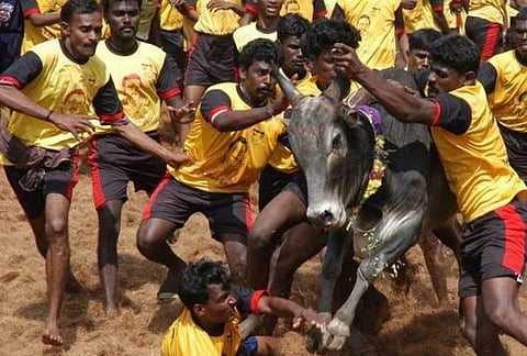 ஜல்லிக்கட்டு சட்டம் தமிழக அரசிதழில் வெளியீடு