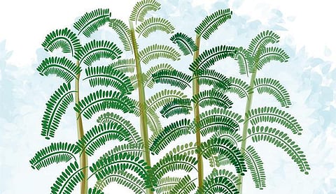 தொட்டனைத்து ஊறும் அமிழ்தம் 19: பண்ணை வடிவமைப்பில் பருவநிலை﻿