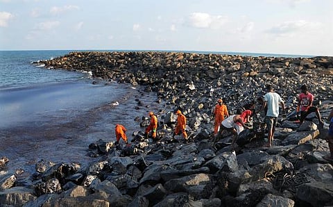 கடலைச் சூழ்ந்த கரும்படலம்: பரிதவிக்கும் மீனவர்கள் உயிரினங்கள்